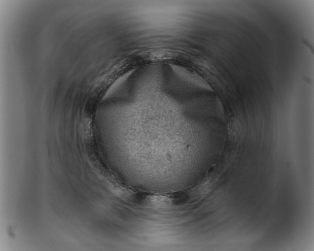 X0000101650327200807241400