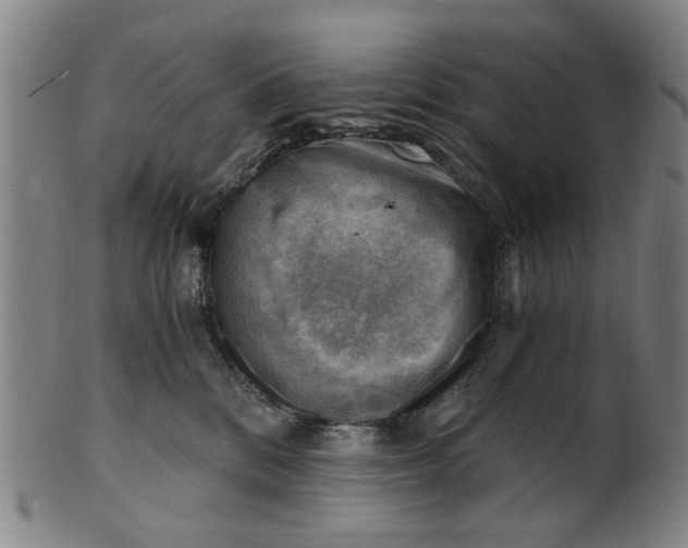 X0000101650328200807241400