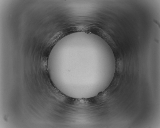 X0000101650329200807241400