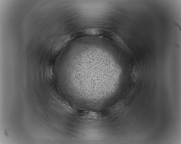 X0000101650330200807241400