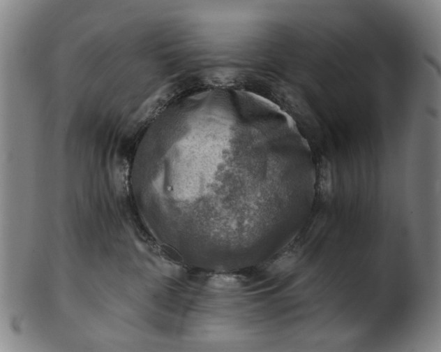 X0000101650332200807241400