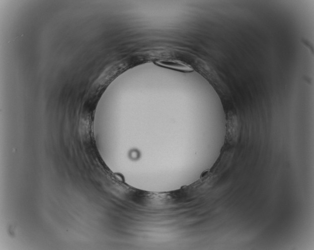 X0000101650333200807241400