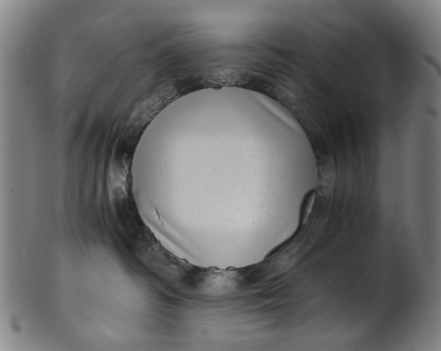 X0000101650334200807241400