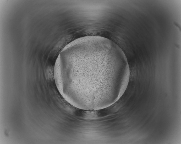 X0000101650335200807241400