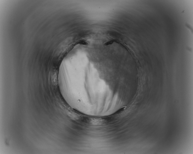 X0000101650336200807241400