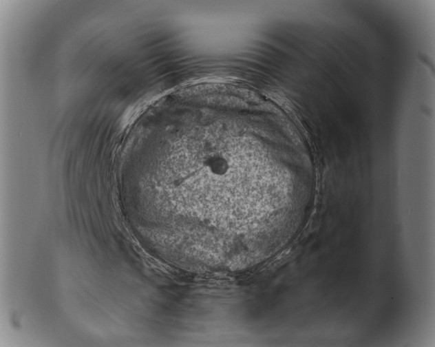 X0000101650337200807241400