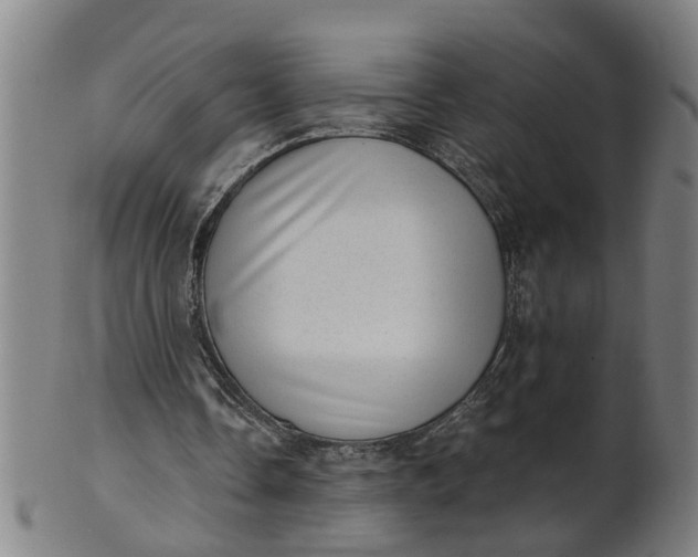 X0000101650338200807241400