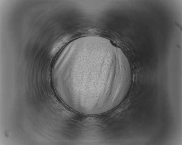 X0000101650341200807241400