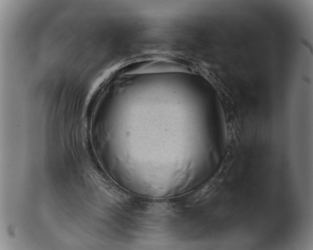 X0000101650342200807241400