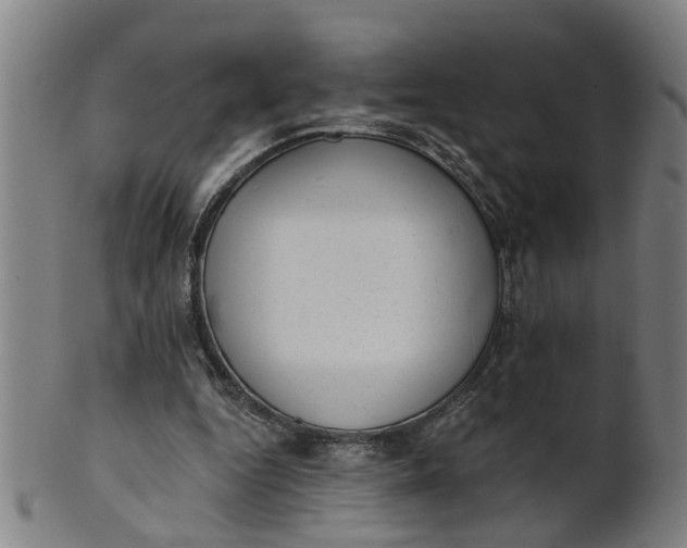 X0000101650344200807241400