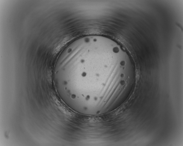 X0000101650345200807241400