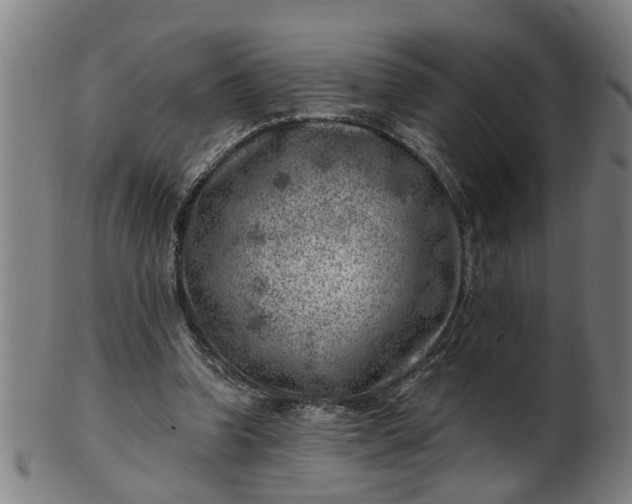 X0000101650346200807241400