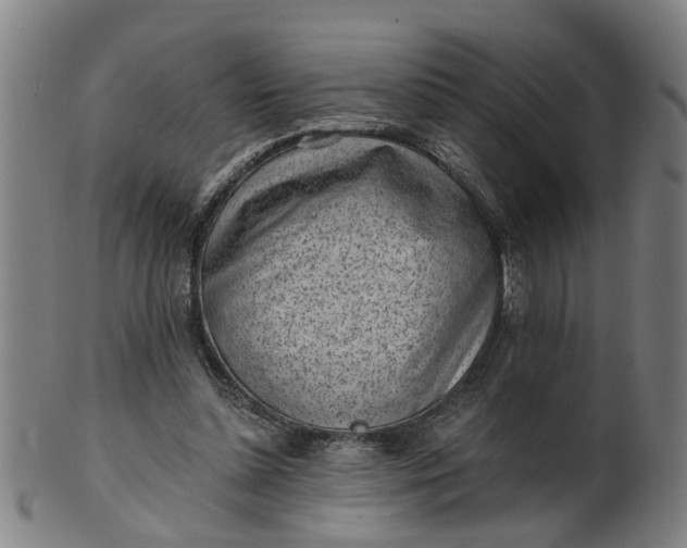 X0000101650348200807241400