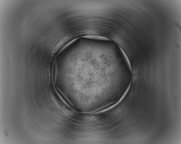 X0000101650349200807241400