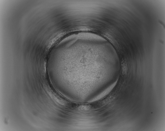 X0000101650350200807241400