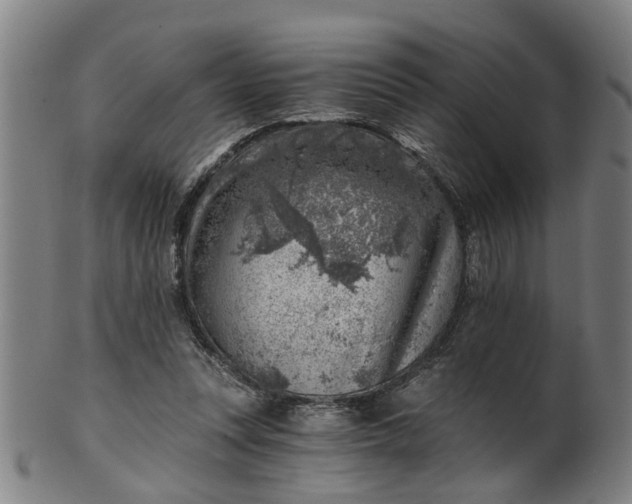 X0000101650351200807241400