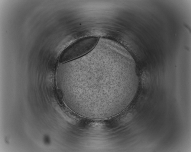 X0000101650352200807241400