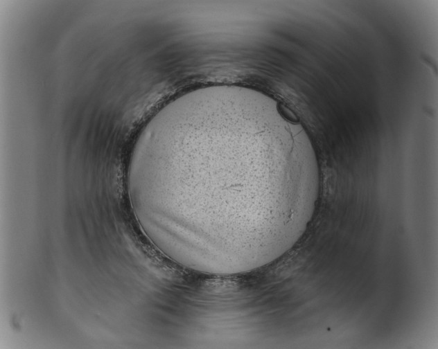 X0000101650354200807241400