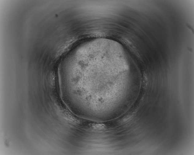X0000101650355200807241400
