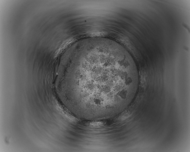 X0000101650357200807241400