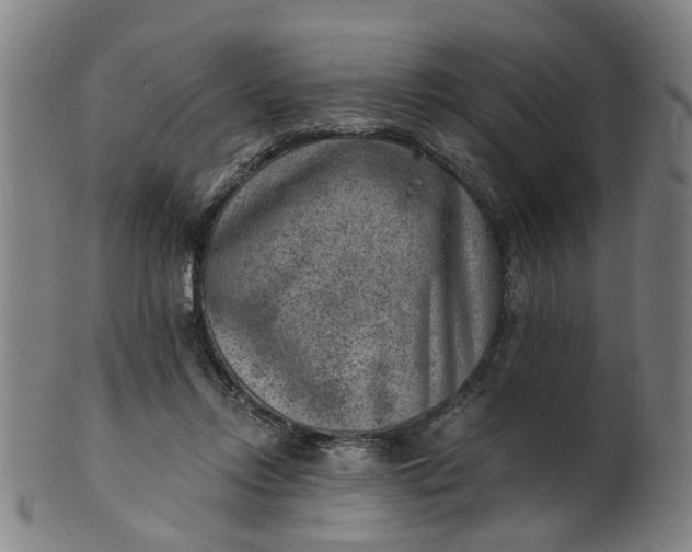 X0000101650358200807241400