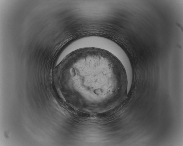 X0000101650360200807241400