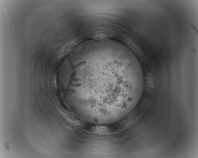 X0000101650361200807241400