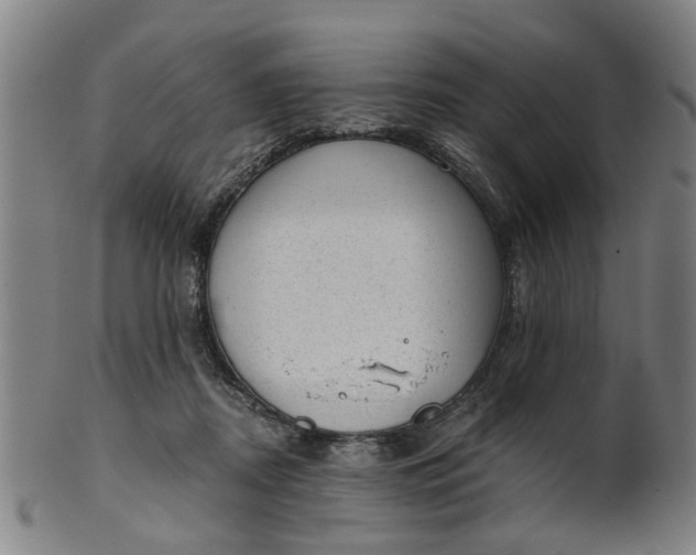 X0000101650362200807241400