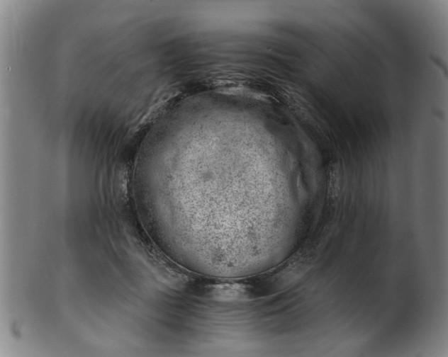 X0000101650363200807241400