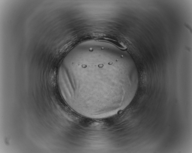 X0000101650364200807241400