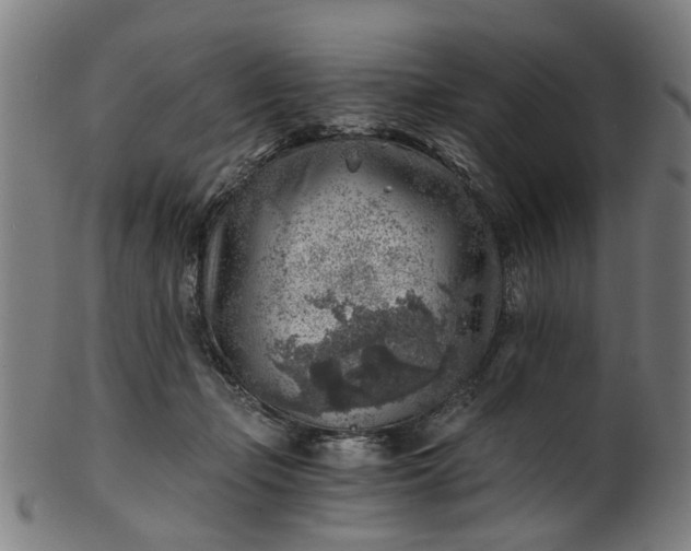 X0000101650365200807241400