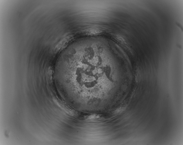 X0000101650366200807241400