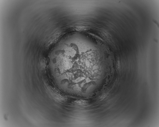 X0000101650367200807241400