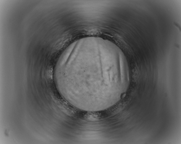 X0000101650368200807241400