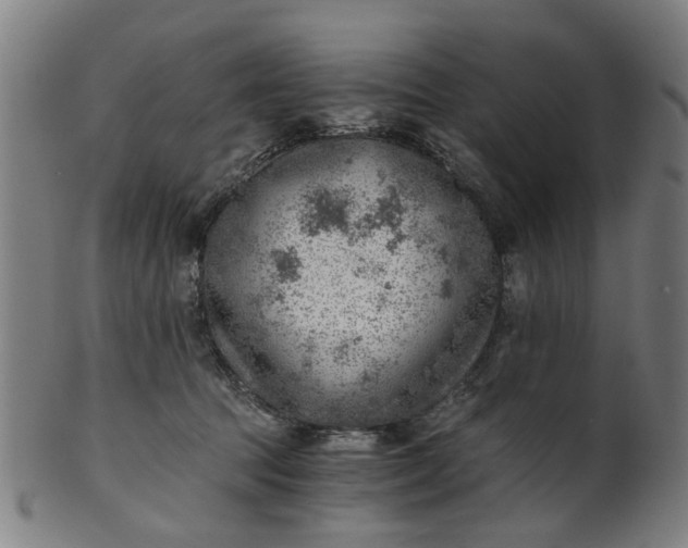 X0000101650369200807241400