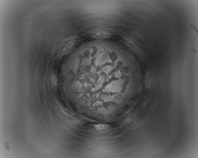 X0000101650371200807241400