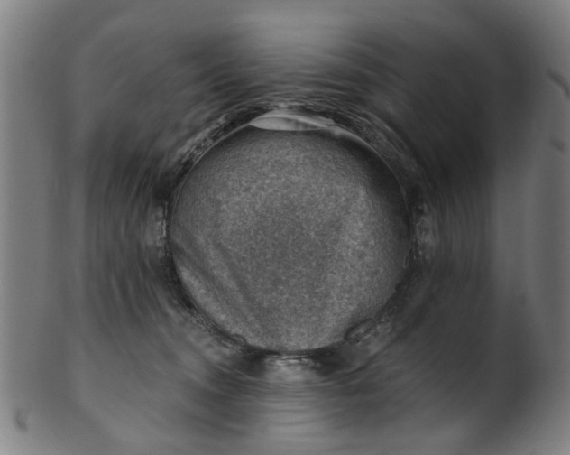 X0000101650372200807241400