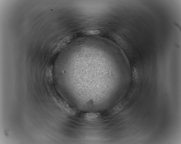 X0000101650373200807241400