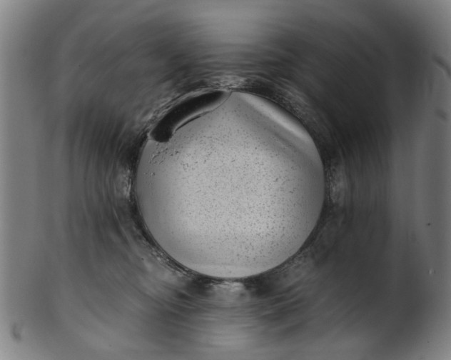 X0000101650374200807241400