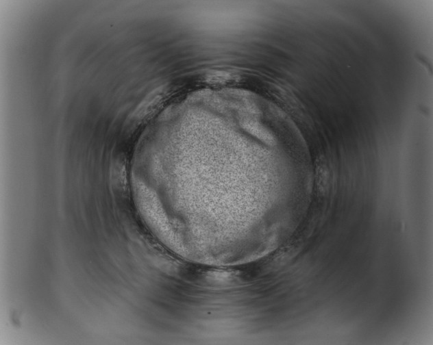 X0000101650375200807241400