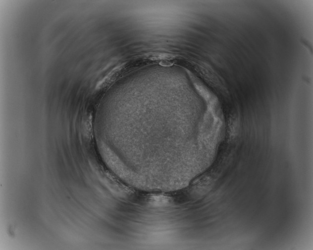 X0000101650376200807241400