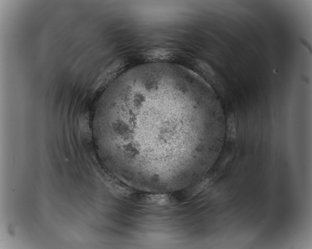 X0000101650377200807241400