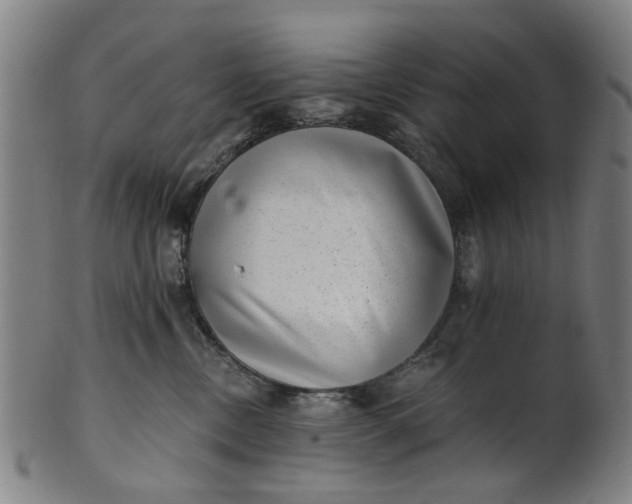 X0000101650378200807241400