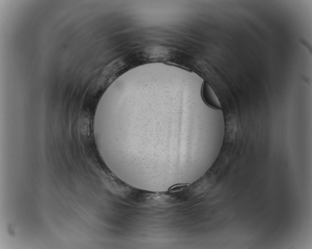 X0000101650379200807241400