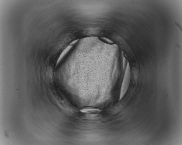 X0000101650380200807241400