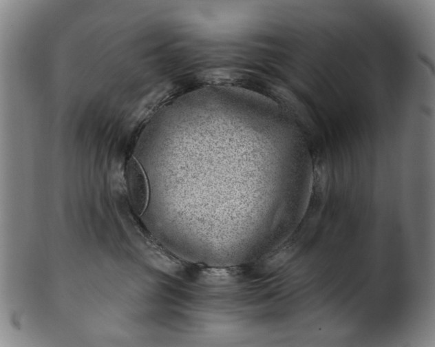 X0000101650381200807241400