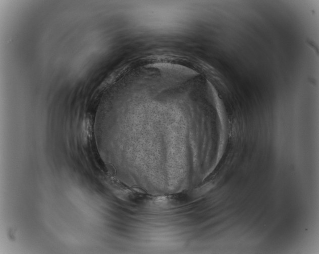 X0000101650382200807241400