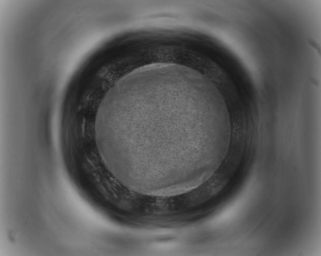 X0000101650383200807241400