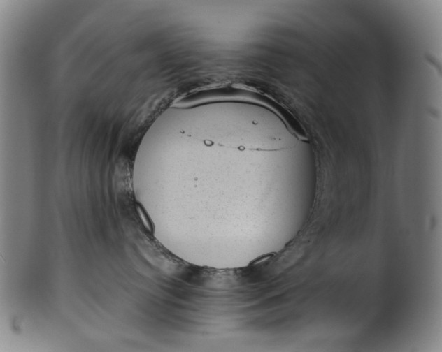 X0000101650384200807241400