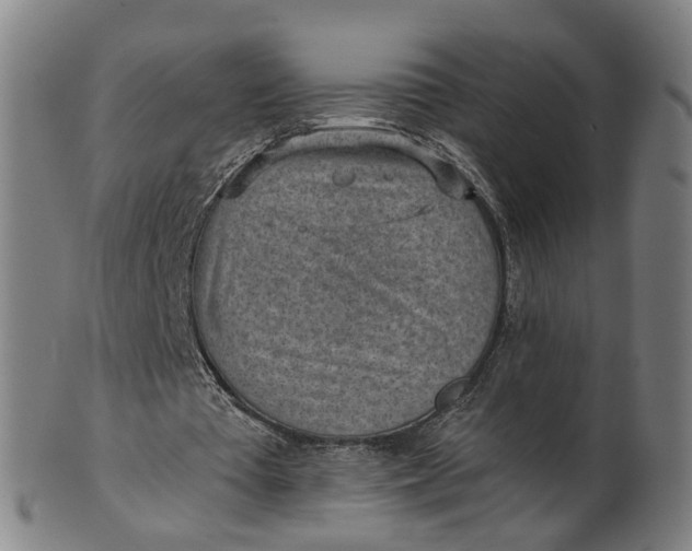 X0000101650385200807241400